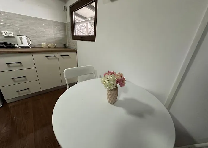 Private Entrance Cozy * 부쿠레슈티